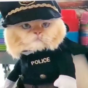 Meet your Posher, Kathy